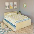 Double Trundle bed with Optional Extra storage